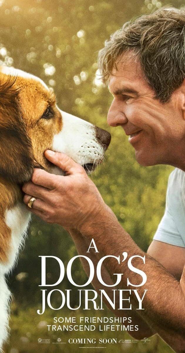 دانلود فیلم A Dog's Journey